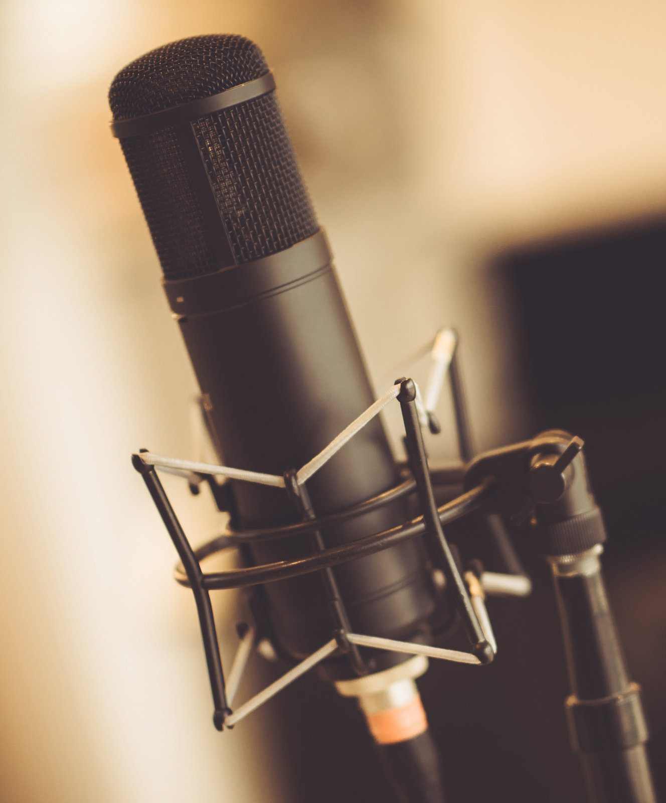 Micro de studio monté sur sa suspension anti-vibration, devant un arrière-plan chaud et flou